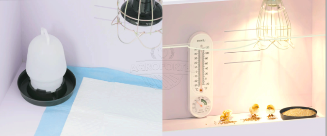 Snímka obrazovky 2026-02-22 o 20.53.53